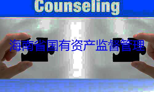 海南省国有有福接受审理委员会党委副书记王查调查资产监督管